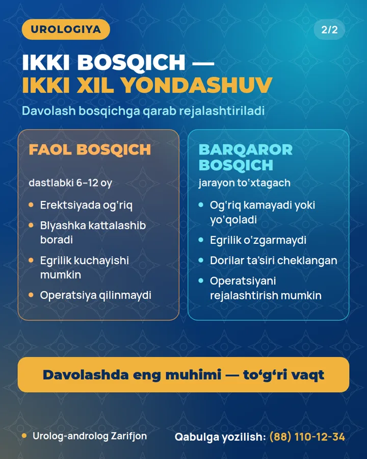 Slayd: Peyronie kasalligining ikki bosqichi